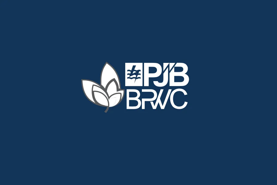 PJB BRWC | Sauyunan Creation
